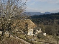 F, Isere, St-Martin-de-Clelles, Beylloux 1, Saxifraga-Jan van der Straaten