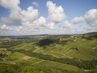 Chateau Chalon