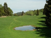 F, Jura, la Pesse, combe a Malatrait 3, Saxifraga-Willem van Kruijsbergen