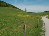 F, Jura, la Pesse, combe de La Mignatte 1, Saxifraga-Willem van Kruijsbergen