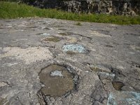 F, Jura, Loulle, le site a pistes de Dinosaures 1, Saxifraga-Jan Nijendijk