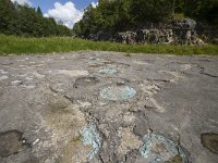 F, Jura, Loulle, le site a pistes de Dinosaures 2, Saxifraga-Jan Nijendijk