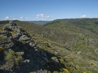 F, Lozere, Barre-des-Cevennes 4, Saxifraga-Willem van Kruijsbergen