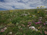 Causse Mejean