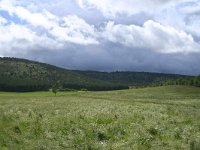 F, Lozere, Causse Mejean 8, Saxifraga-Dirk Hilbers