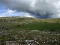 F, Lozere, Causse Mejean 9, Saxifraga-Dirk Hilbers