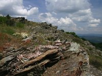 F, Lozere, Cevenol 3, Saxifraga-Dirk Hilbers