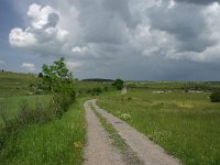 Causse de Sauveterre