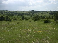 F, Lozere, Causse de Sauveterre 3, Saxifraga-Dirk Hilbers