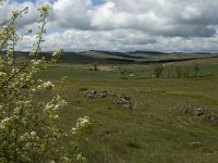 F, Lozere, Florac, Causse de Mejean 10, Saxifraga-Marijke Verhagen