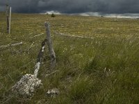 F, Lozere, Florac, Causse de Mejean 14, Saxifraga-Marijke Verhagen