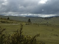 F, Lozere, Florac, Causse de Mejean 6, Saxifraga-Marijke Verhagen