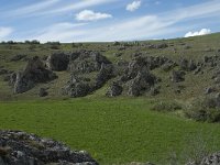 F, Lozere, Gatuzieres, Aures 9, Saxifraga-Willem van Kruijsbergen