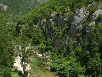 F, Lozere, Gorge du Tarn 3, Saxifraga-Dirk Hilbers