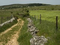 F, Lozere, Hures-la-Parade 14, Saxifraga-Jan van der Straaten