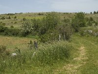 F, Lozere, Hures-la-Parade 23, Saxifraga-Jan van der Straaten