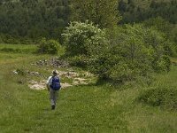 F, Lozere, Hures-la-Parade 34, Saxifraga-Jan van der Straaten