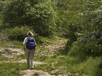 F, Lozere, Hures-la-Parade 35, Saxifraga-Jan van der Straaten