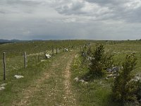 F, Lozere, Hures-la-Parade 38, Saxifraga-Jan van der Straaten