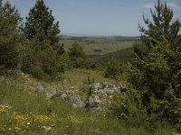 F, Lozere, Hures-la-Parade 57, Saxifraga-Marijke Verhagen