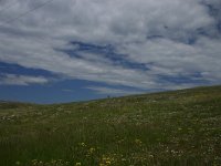 F, Lozere, Hures-la-Parade 61, Saxifraga-Dirk Hilbers