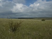 F, Lozere, Hures-la-Parade 7, Saxifraga-Jan van der Straaten