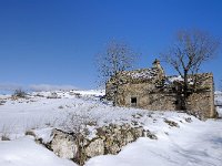 F, Lozere, Hures-la-Parade, Aures 1, Saxifraga-Elisabeth Raboin