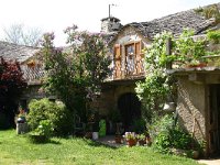 F, Lozere, Hures-la-Parade, Le-Buffre 1, Saxifraga-Dirk Hilbers