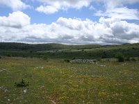 F, Lozere, Hures-la-Parade, Le-Buffre 5, Saxifraga-Dirk Hilbers