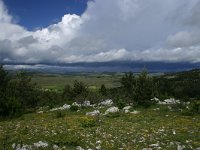 F, Lozere, Hures-la-Parade, Le-Buffre 8, Saxifraga-Dirk Hilbers