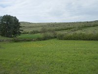 F, Lozere, Hures-la-Parade, Nivoliers 1, Saxifraga-Willem van Kruijsbergen