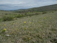 F, Lozere, Hures-la-Parade, Nivoliers 23, Saxifraga-Willem van Kruijsbergen