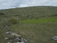 F, Lozere, Hures-la-Parade, Nivoliers 25, Saxifraga-Willem van Kruijsbergen