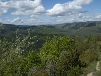 F, Lozere, Le Pompidou, l Hospitalet 22, Saxifraga-Willem van Kruijsbergen