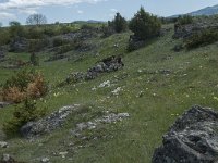 F, Lozere, Le Pompidou, l Hospitalet 48, Saxifraga-Willem van Kruijsbergen