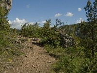 F, Lozere, Le Rozier 33, Saxifraga-Marijke Verhagen