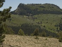 F, Lozere, Les Bondons 13, Saxifraga-Marijke Verhagen