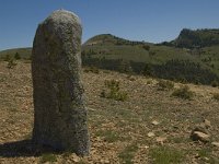 F, Lozere, Les Bondons 17, Saxifraga-Marijke Verhagen