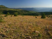 F, Lozere, Les Bondons 40, Saxifraga-Dirk Hilbers