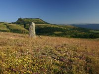 F, Lozere, Les Bondons 50, Saxifraga-Dirk Hilbers