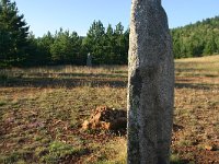 F, Lozere, Les Bondons 52, Saxifraga-Dirk Hilbers