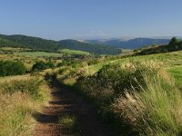 F, Lozere, Les Bondons, Les Combettes 1, Saxifraga-Dirk Hilbers