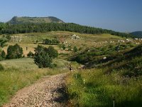 F, Lozere, Les Bondons, Les Combettes 3, Saxifraga-Dirk Hilbers