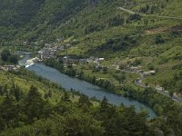 F, Lozere, Les Vignes 11, Saxifraga-Marijke Verhagen