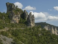 F, Lozere, Les Vignes 14, Saxifraga-Marijke Verhagen