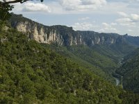 F, Lozere, Les Vignes 15, Saxifraga-Marijke Verhagen