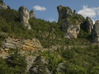 F, Lozere, Les Vignes 16, Saxifraga-Marijke Verhagen