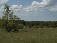 F, Lozere, Les Vignes 19, Saxifraga-Marijke Verhagen