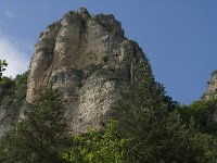 F, Lozere, Les Vignes 23, Saxifraga-Marijke Verhagen