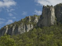 F, Lozere, Les Vignes 30, Saxifraga-Marijke Verhagen